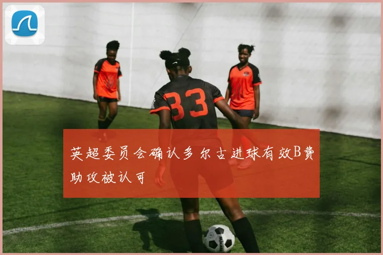英超委员会确认多尔古进球有效B费助攻被认可